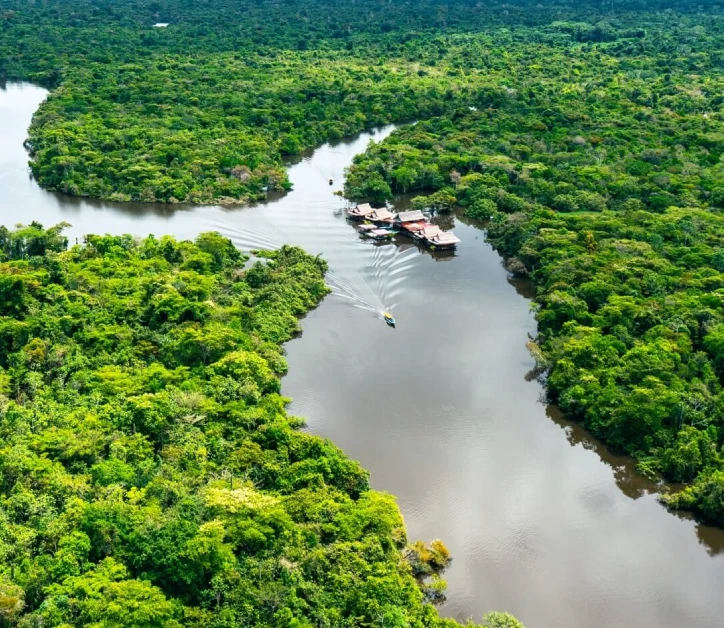 peruvian amazon